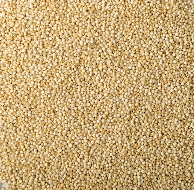 KINWA 500GM