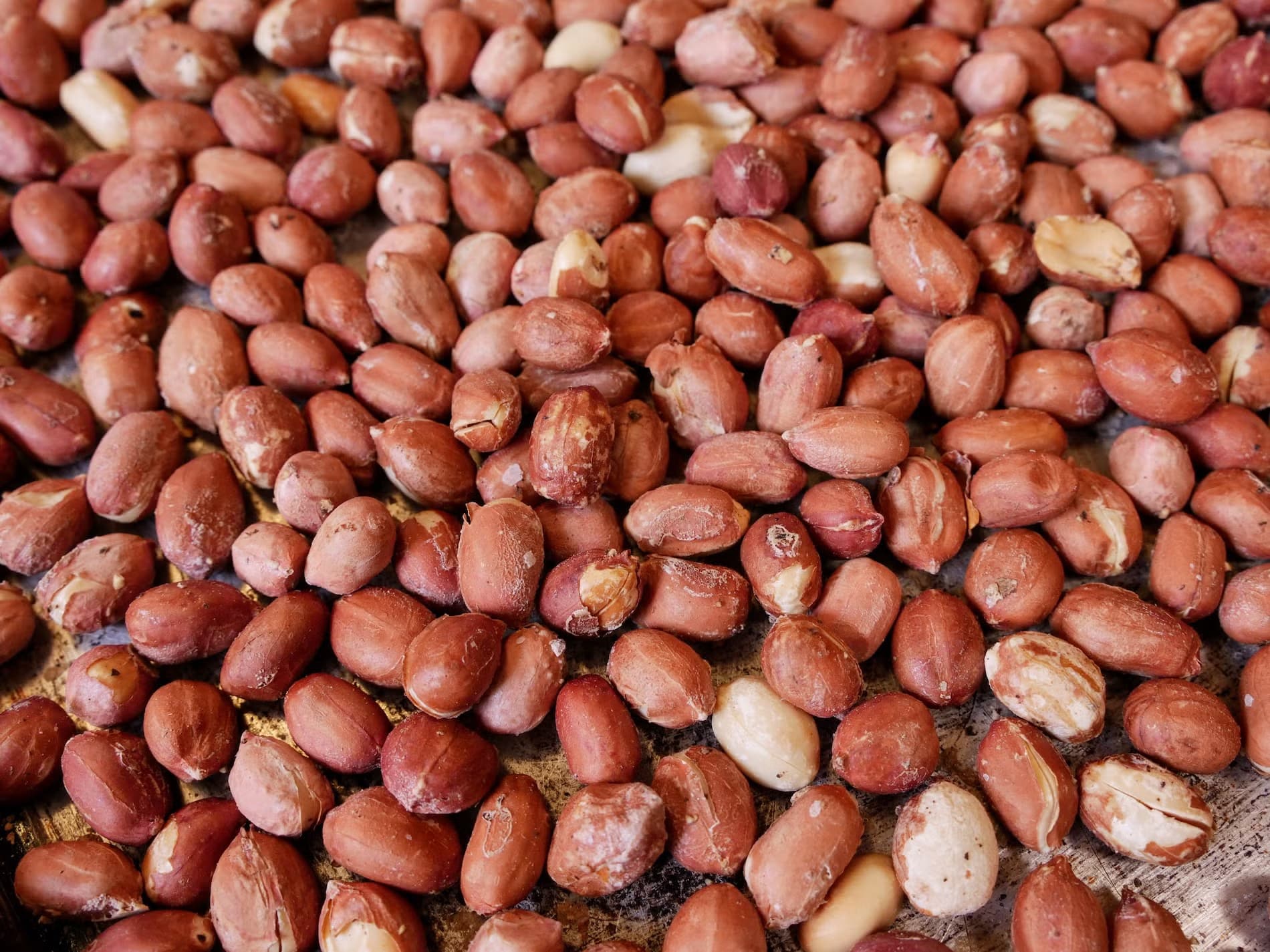 LS Peanuts Big 500g
