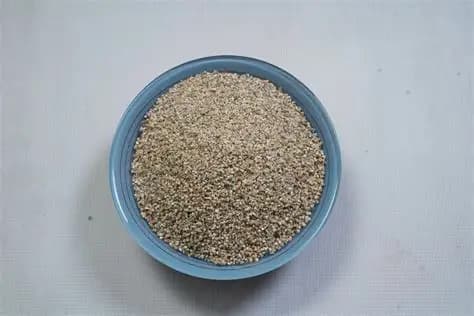 LS JAU CHYAKHLA 