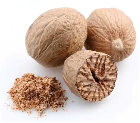 JAIFAL  (NUTMEG)