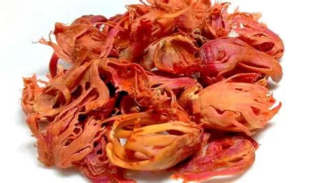 JAIPATRI  100GM