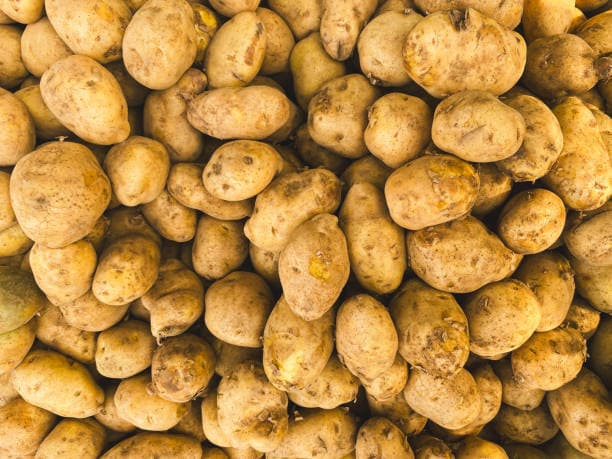 Potato Mude