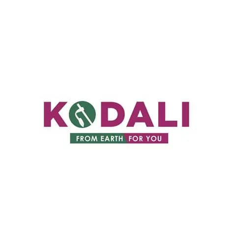 KODALI VENTURES