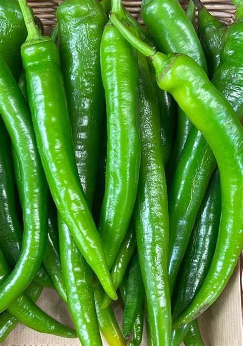 GREEN CHILLY LOFAM