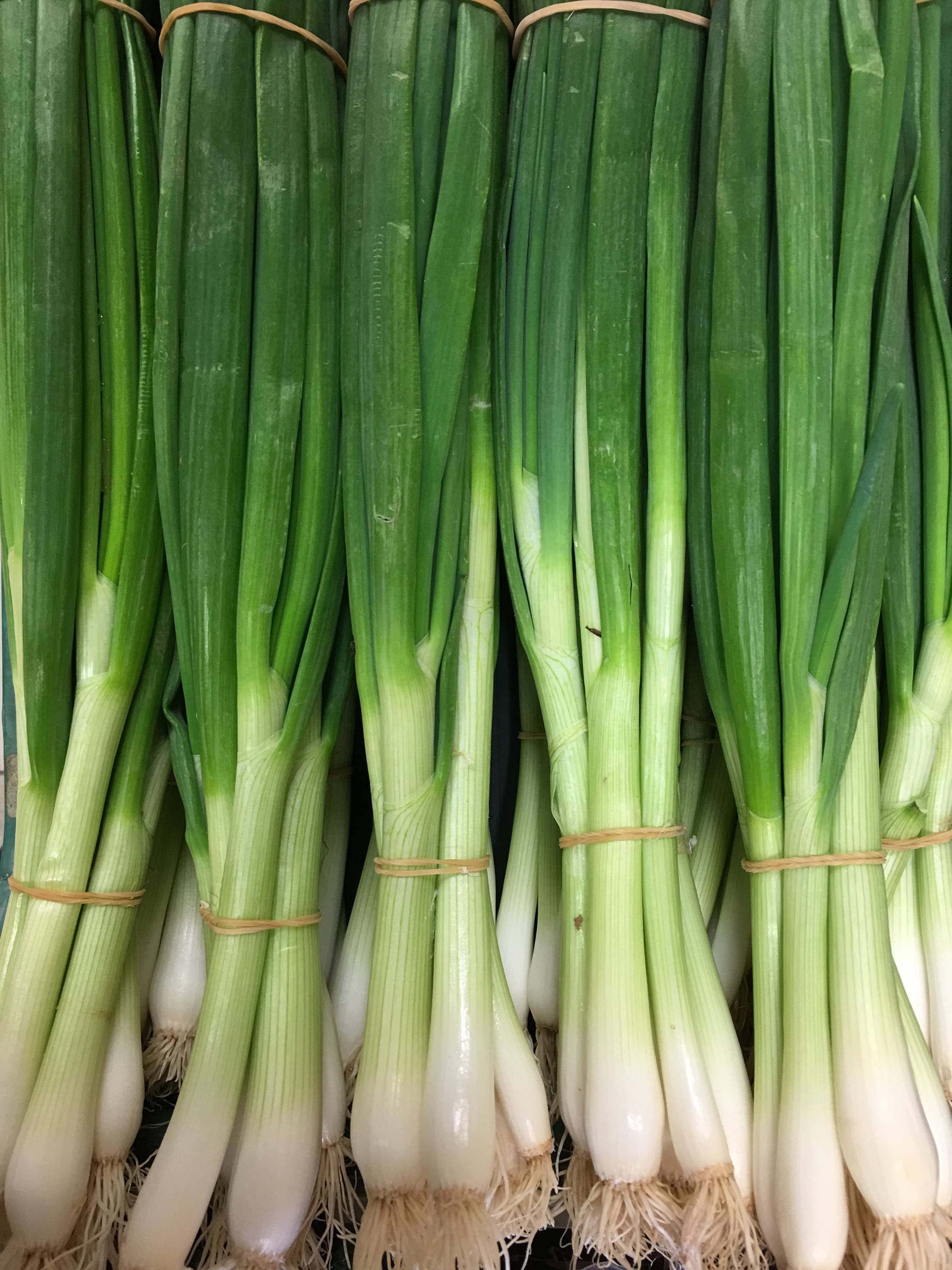 GREEN ONION LOFAM