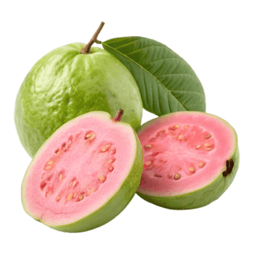 GAUVA