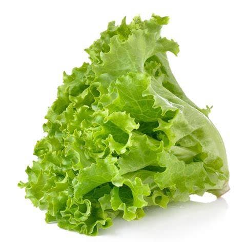 LETTUCE LOFAM